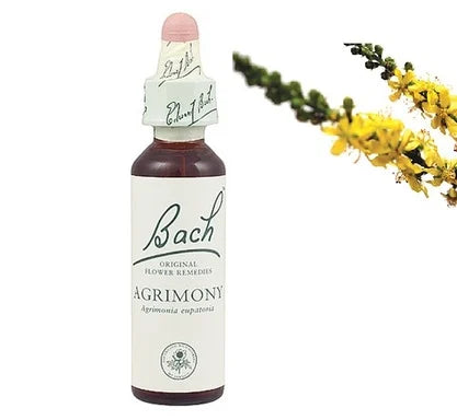 Bach Eсенция с Камшик при потискане на емоциите х20 мл