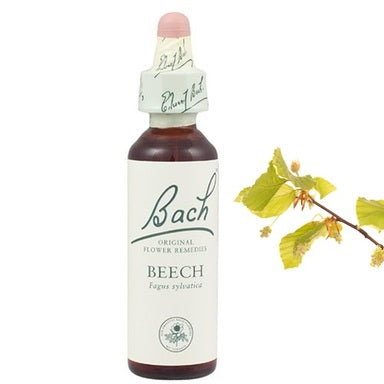 Bach Eсенция с Бук при проблем с толерантността х20 мл