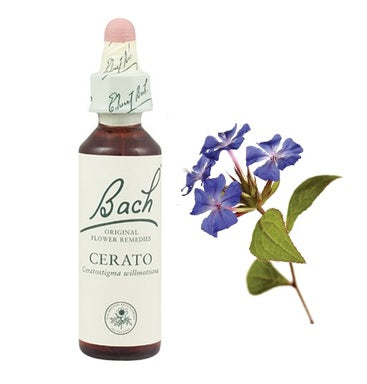 Bach Eсенция с Цератостигма за интуиция х20 мл