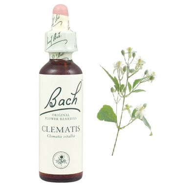 Bach Eсенция с Повет за вдъхновение х20 мл