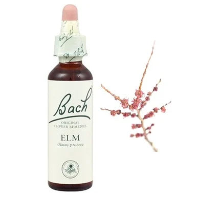 Bach Eсенция с Бряст за справяне с отговорности х20 мл