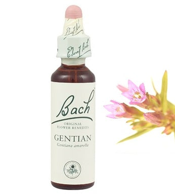 Bach Eсенция с Tинтява за позитивност х20 мл