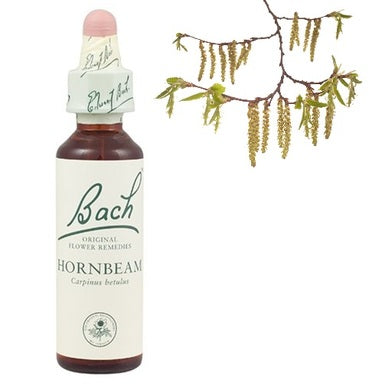 Bach Eсенция с Обикновен габър при преумора х20 мл