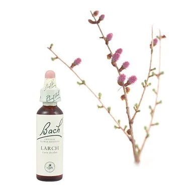 Bach Eсенция с Лиственица при неувереност х20 мл