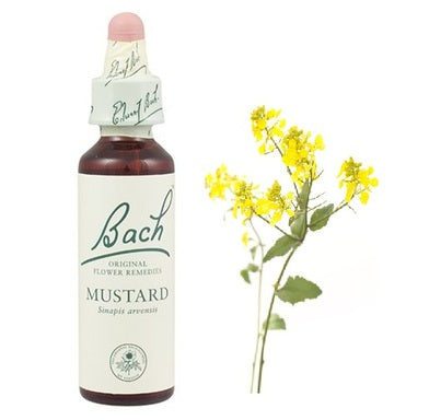 Bach Eсенция с Полски синап при меланхолия х20 мл