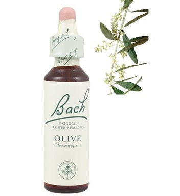 Bach Eсенция с Маслина за възстановяване х20 мл