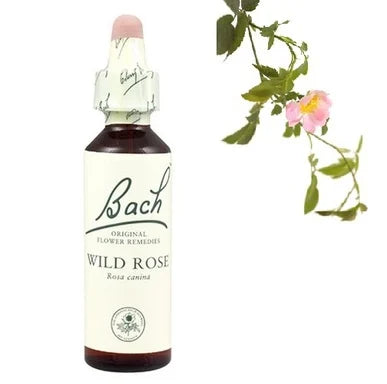 Bach Eсенция със Скална роза при силен страх х20 мл