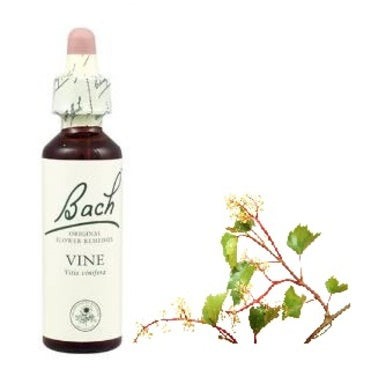 Bach Eсенция с Лоза при склонност към тираничност х20 мл