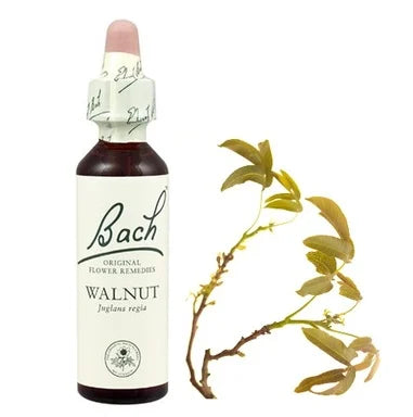 Bach Eсенция с Орех при стрес от промяна х20 мл