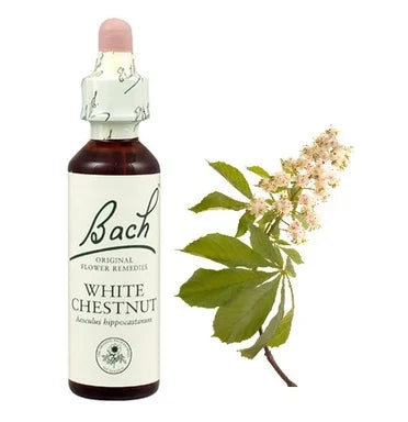 Bach Eсенция с Бял конски кестен при неясни мисли х20 мл