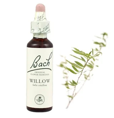 Bach Eсенция с Плачеща върба за поемане на отговорност х20 мл