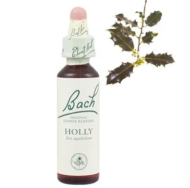 Bach Eсенция с Джел при крайност в чувствата х20 мл