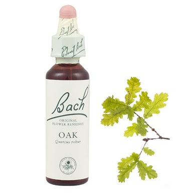 Bach Eсенция с Дъб при работохолизъм х20 мл