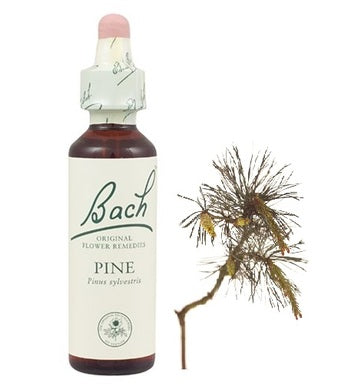 Bach Eсенция с Бял Бор при чувство за Вина х20 мл