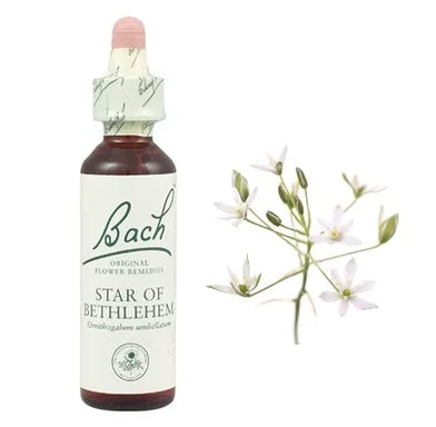 Bach Eсенция с Витлемска звезда при шок х20 мл